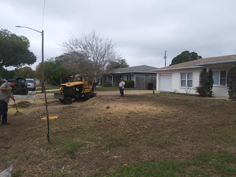 CPL Tree Service and Landscaping | Pinellas Park FL