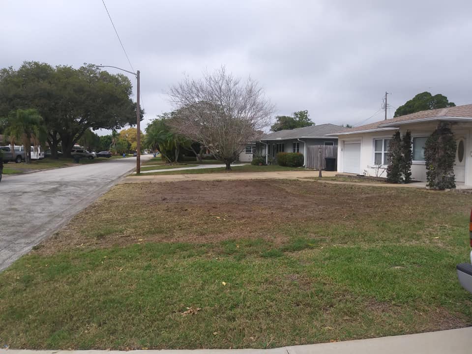 CPL Tree Service and Landscaping | Pinellas Park FL