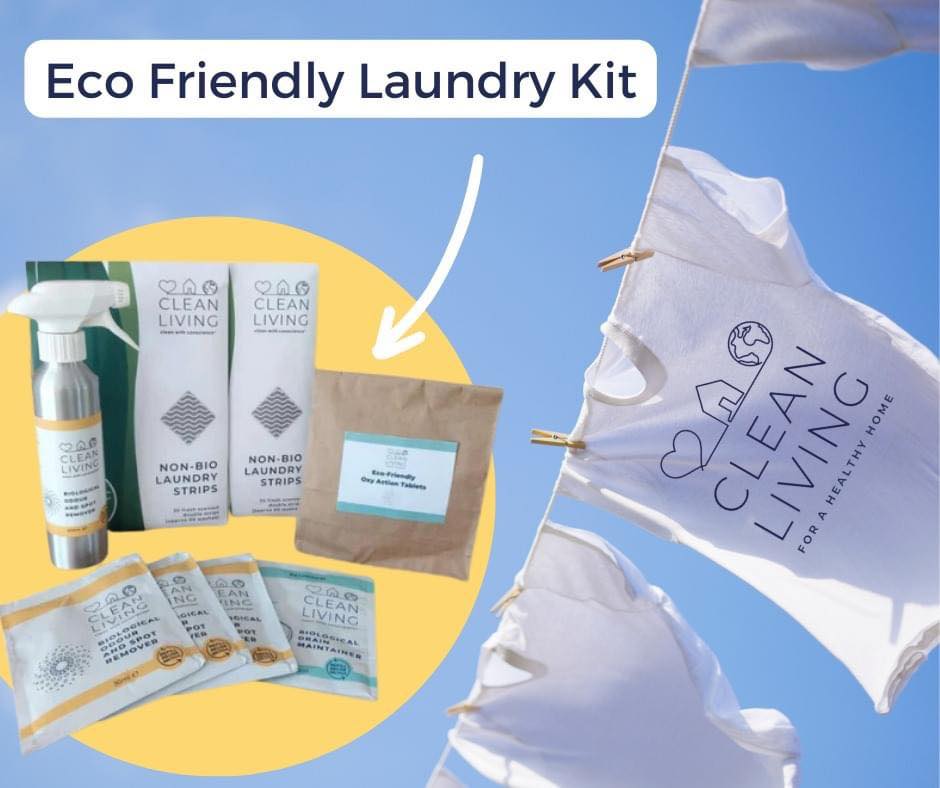 Safe, Healthy, Eco Clean with Clean Living International