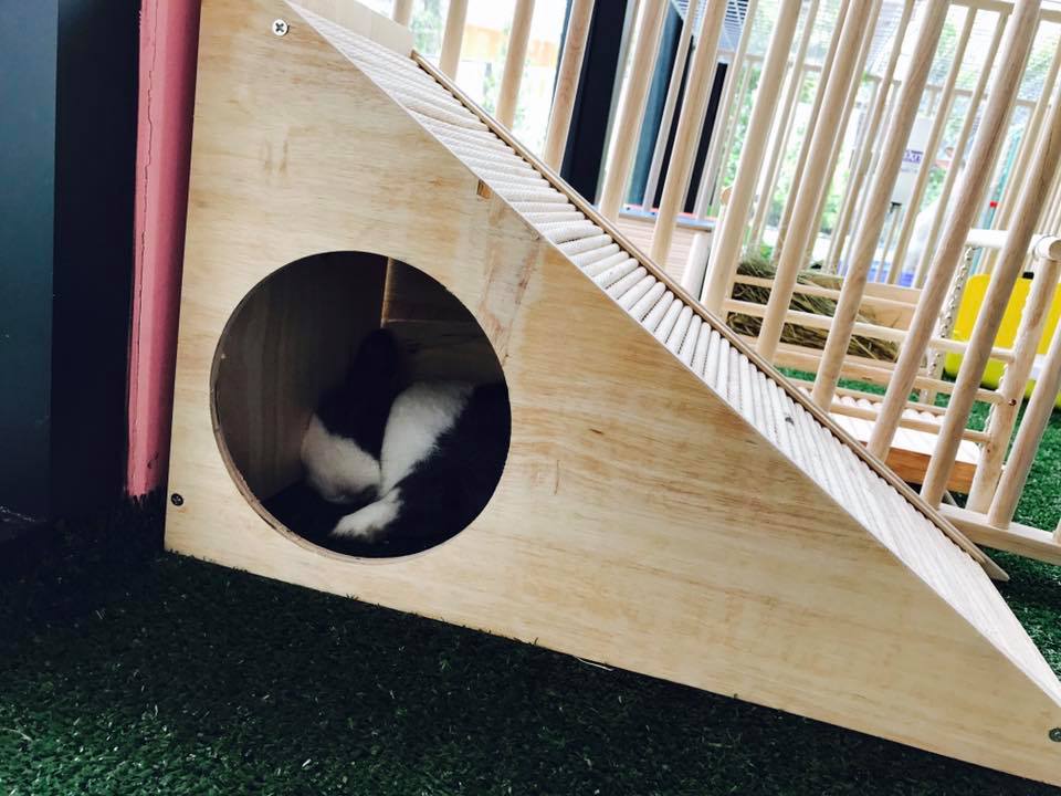 Rabbit buri - เข้านอนแล้ว...งดรบกวน ^^ Do not disturb,i'm... | Facebook