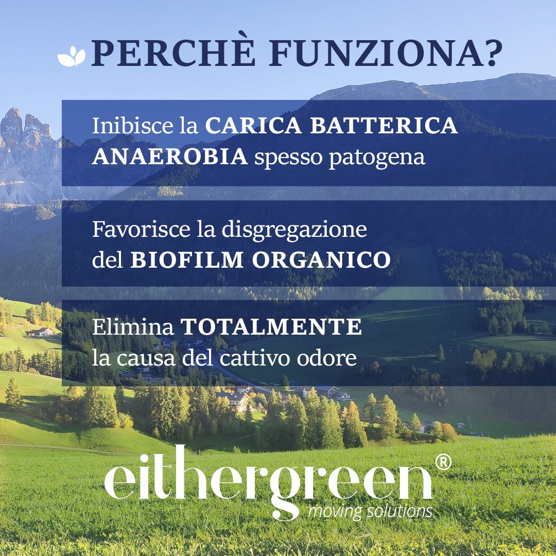 Eithergreen 60 Bustine Disgregante Per WC Camper – Elimina Odori, Sanifica E Scioglie La Carta, Senza Formaldeide