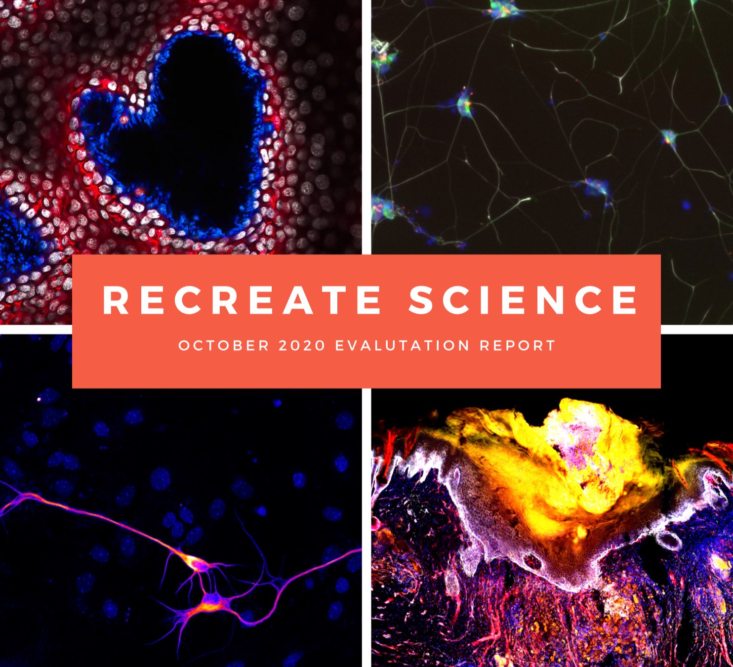 King's - #TBT to our Imagination Imaging Competition sponsored by ...