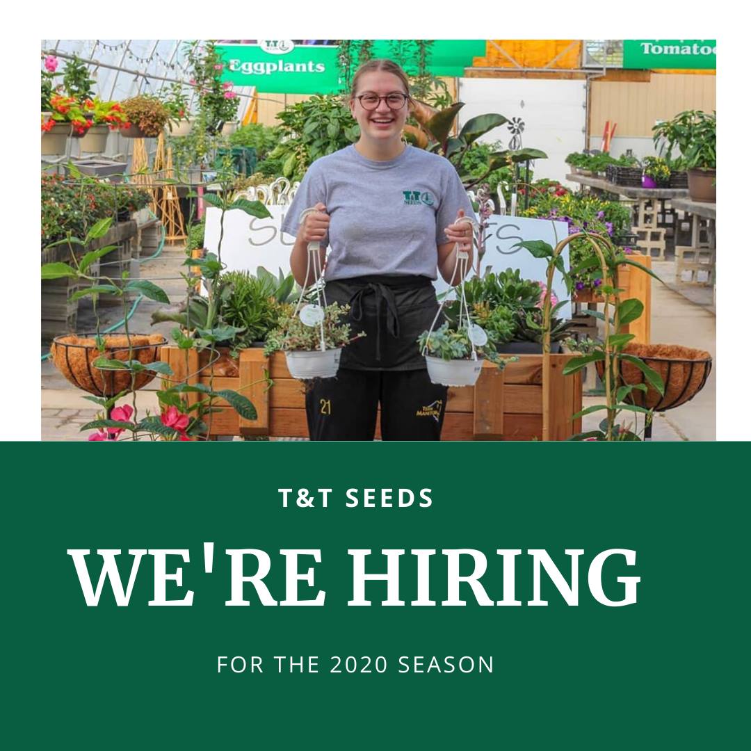 We Re Hiring For The 2020 Season T T Seeds Garden Center Facebook