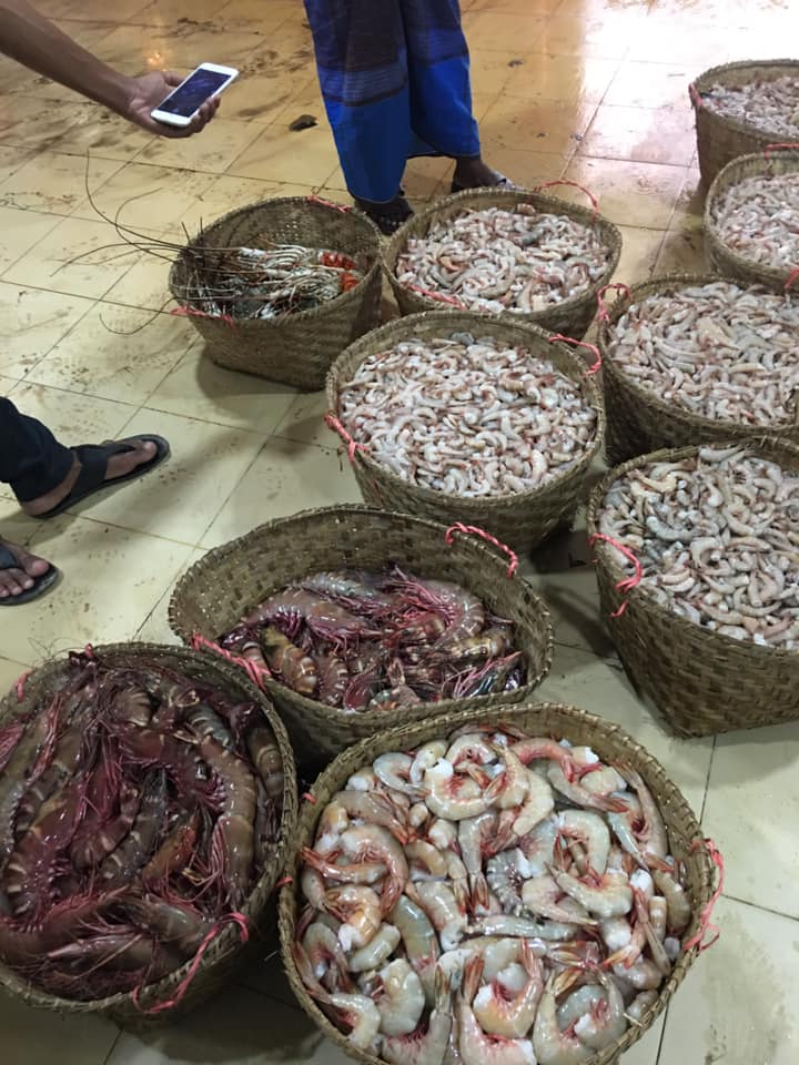 Taz Sea Fish Supplier | Chittagong