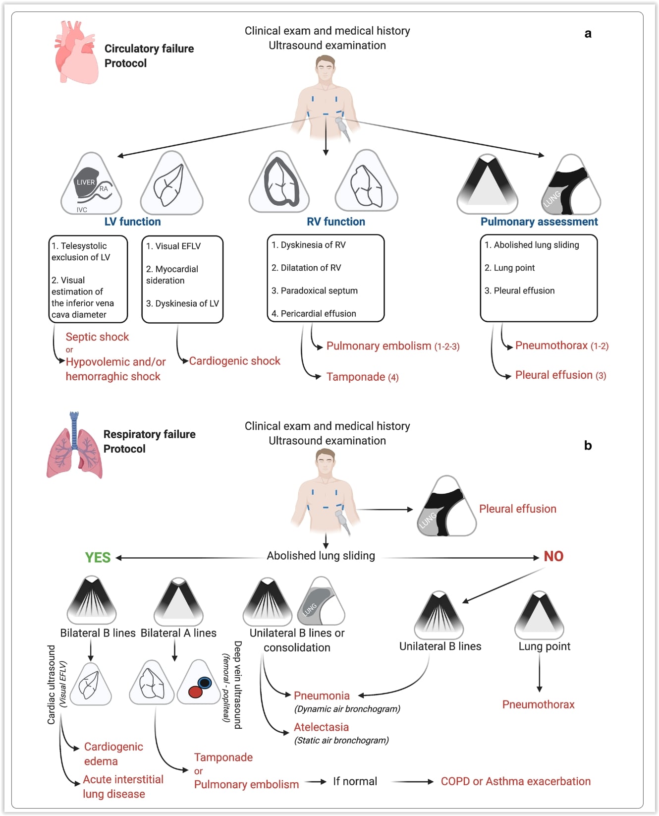 Caduceus EM & Critical Care FOAM | Bedside POCUS during ward ...