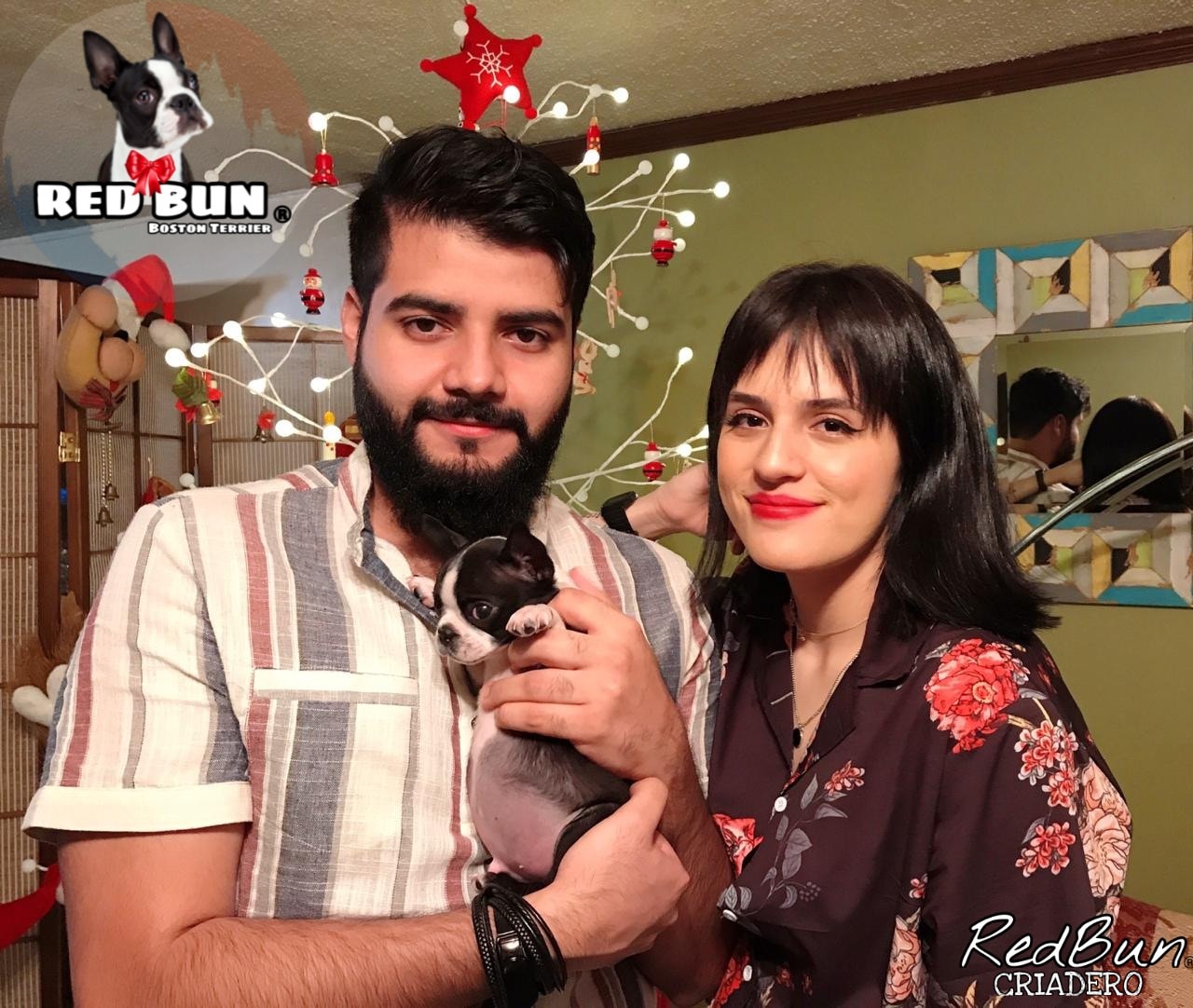 ️ Pako Red Bun ♂️ En su nuevo hogar 🏠 👉🏼 Fernanda Medina y familia 🎁🎀 ...