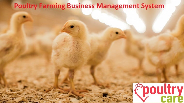 PoultryCare - Poultry Farming Business ERP Management... | Facebook