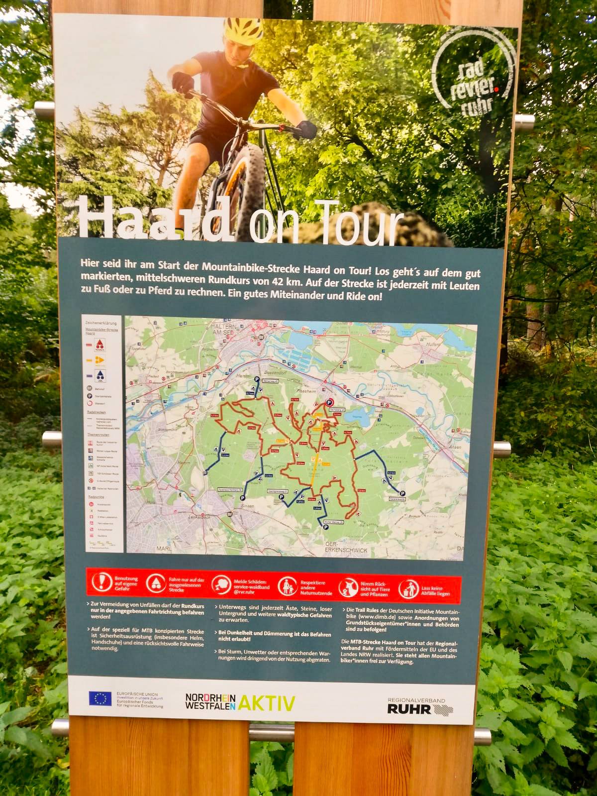 schutzblech cube 29 WENINETIES 1 Set Fahrrad für Acid 240 DISC Acid Acid Eagle, Mountainbike Mudguard Vorne Hinten, Spritzschutz Set, Abnehmbar Velo de Ville AEB _tab_other-kick-extreme-colors Ausführung:Doppelt