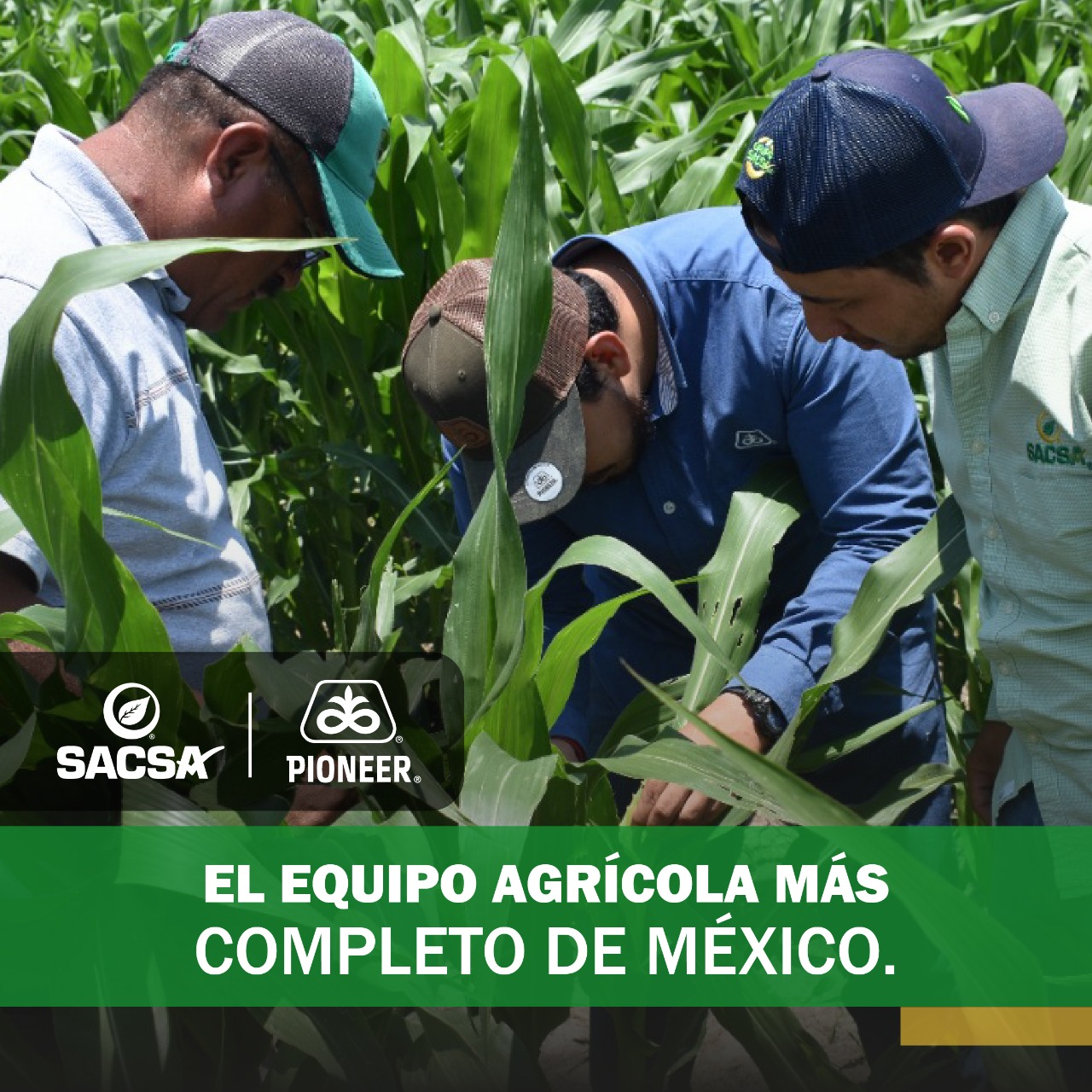 SACSA Bajío - El máximo rendimiento para tu cultivo. 🌾...