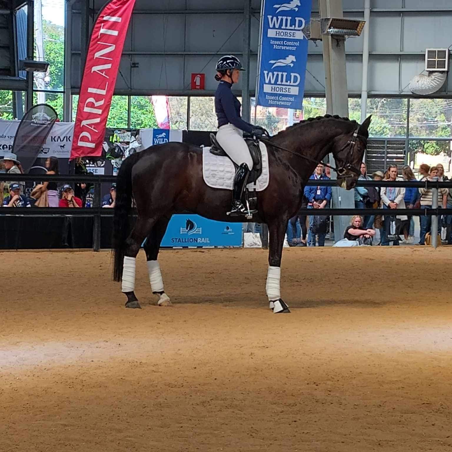Ground work and Ridden Horsemanship Clinic with Tabatha Ashlin
