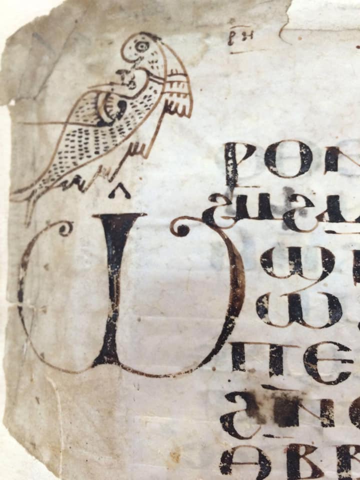 Happy... - Alin Suciu's Coptic Literature and Manuscripts | Facebook