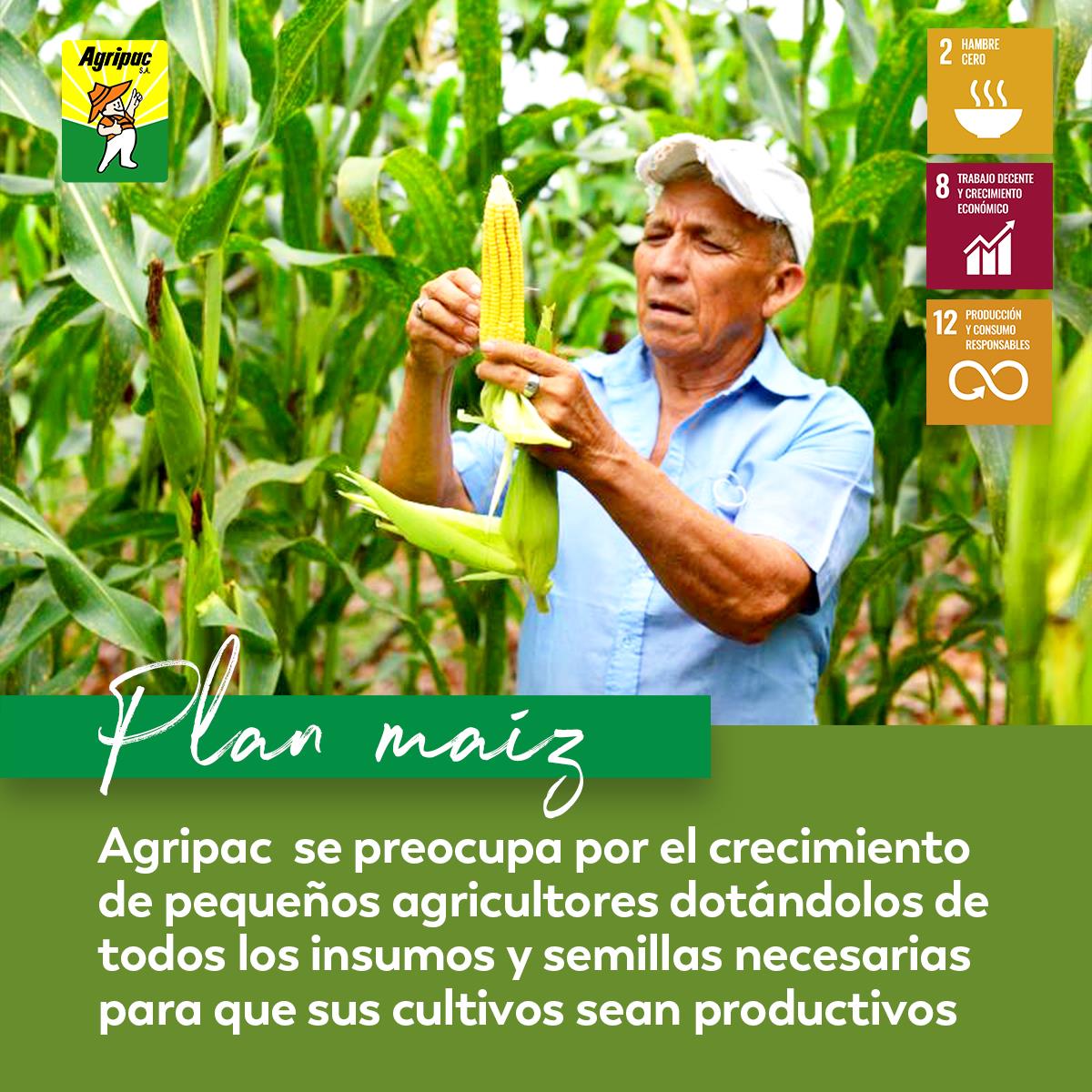 Agripac - ¡Crecemos juntos y somos más productivos! 🌽 Con... | Facebook