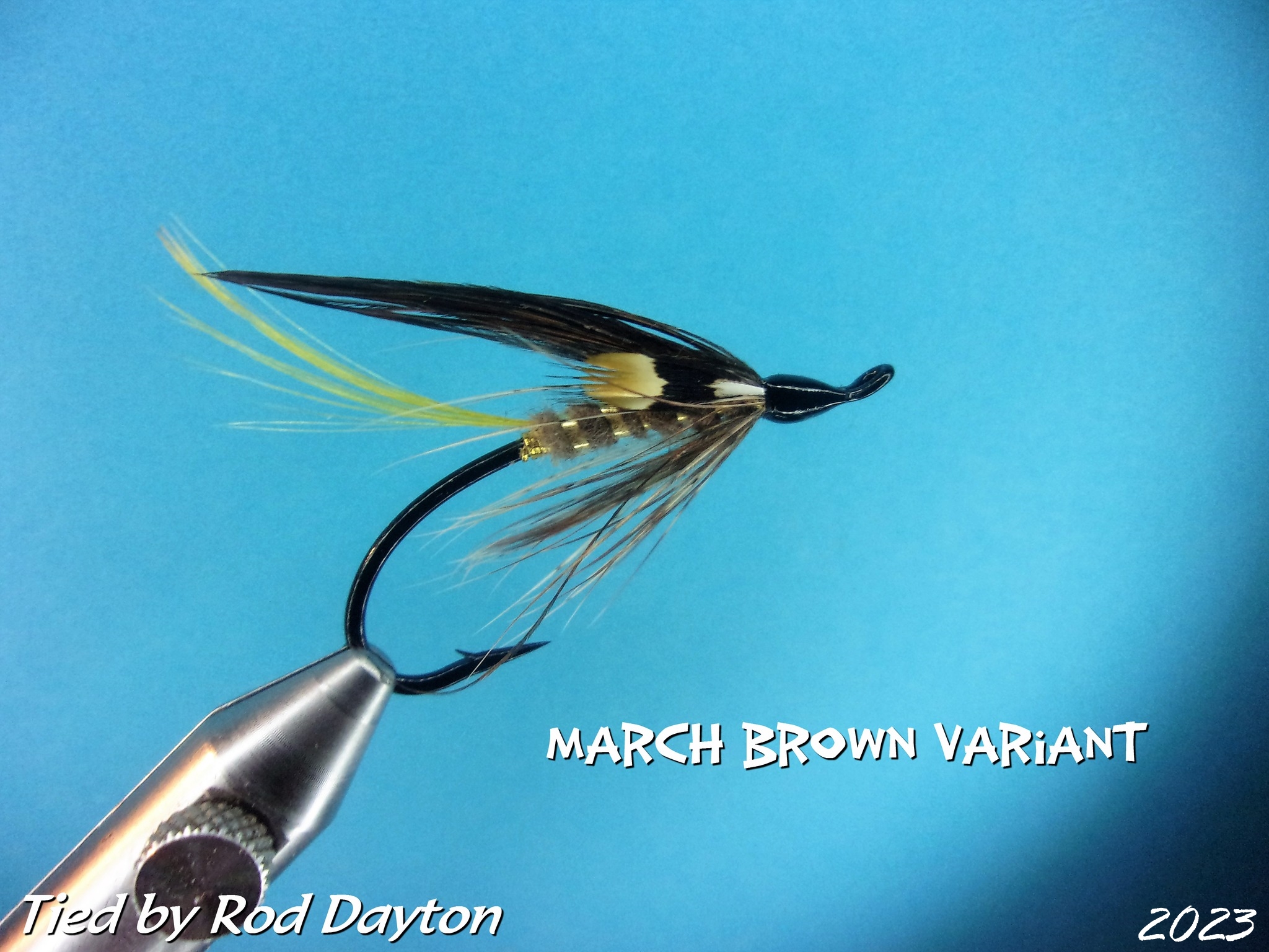 ア*ン様 March Brown Limited Diplomat Series What is March Brown