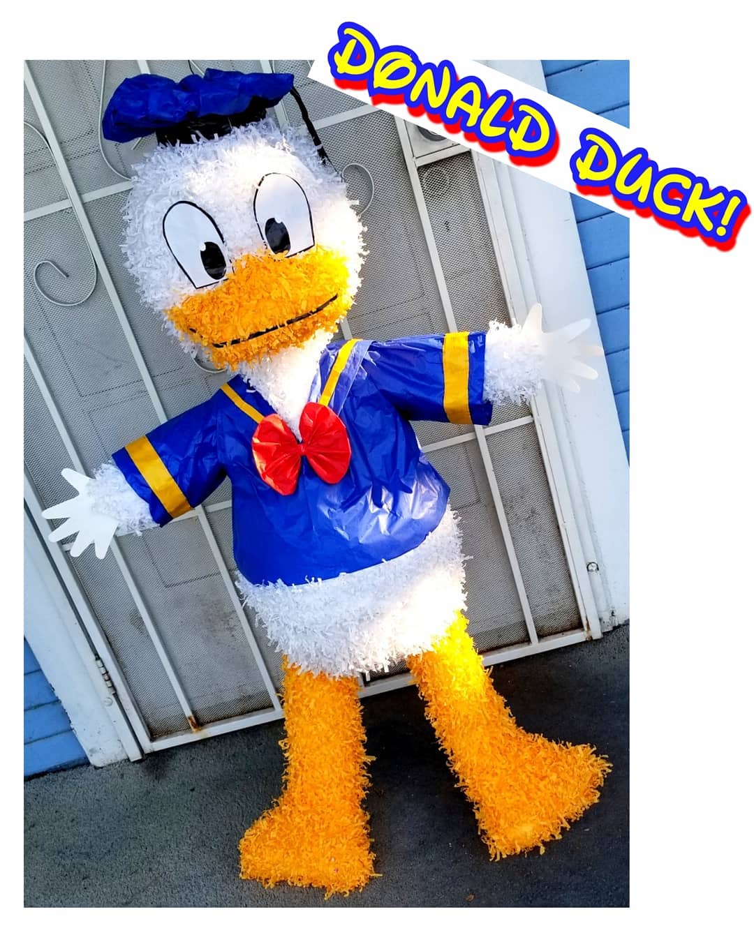 Pinata Ortega