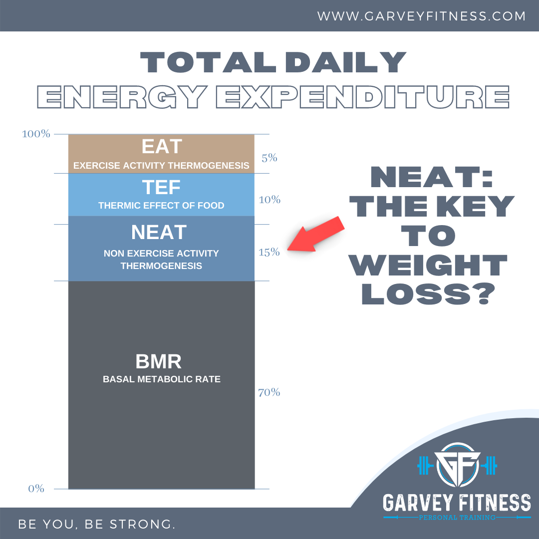 NeuroFit - Understanding your Total Daily Energy Expenditure (TDEE) is ...