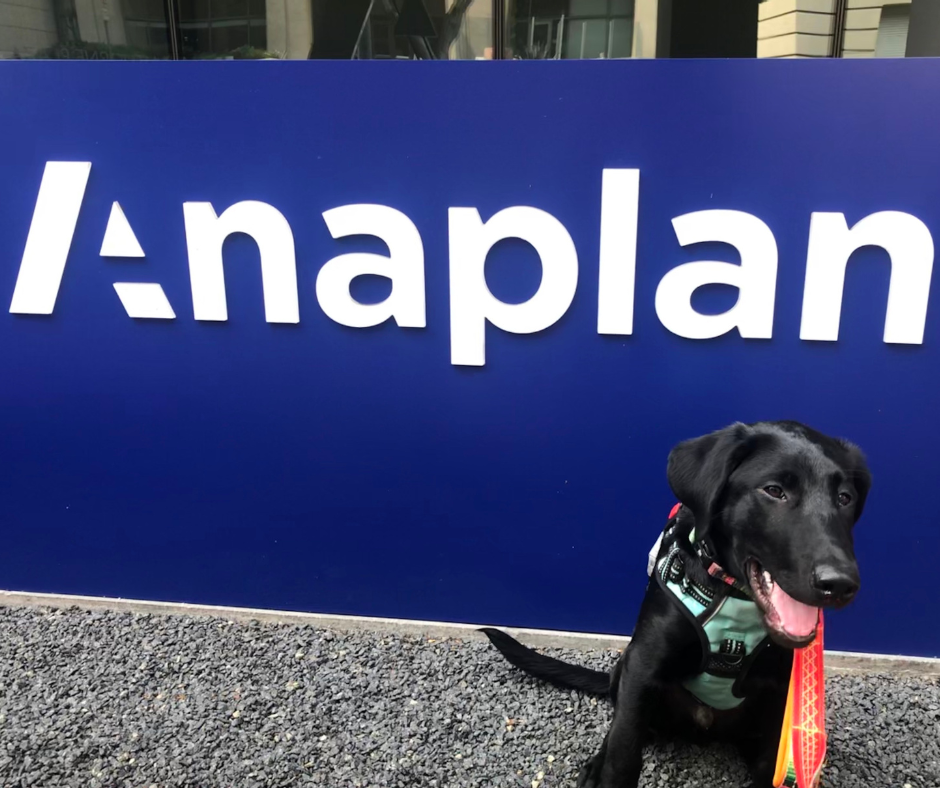 Inside Anaplan | San Francisco CA