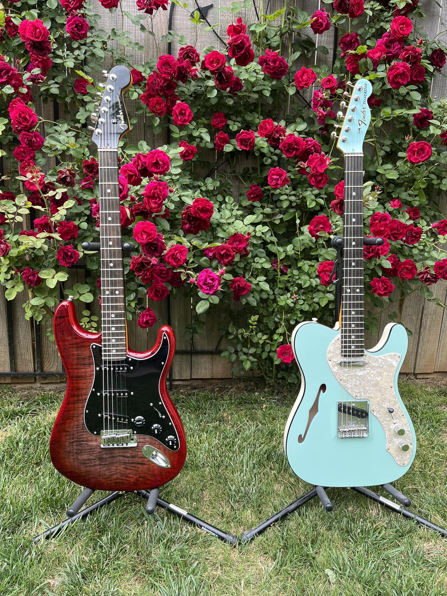 Limited edition Levinson Blade T2 Thinline Telecaster guitar