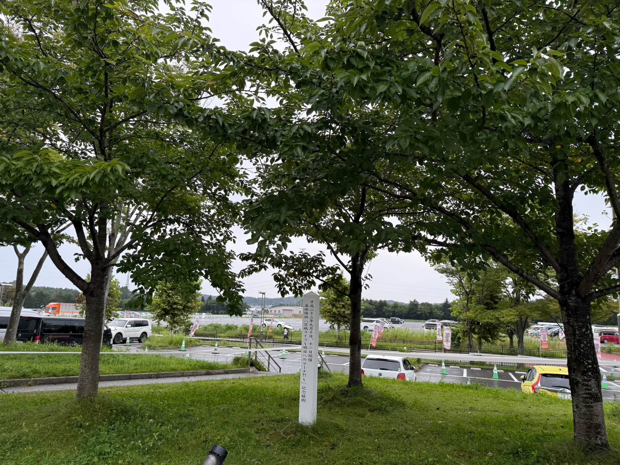 原ボーロスから…