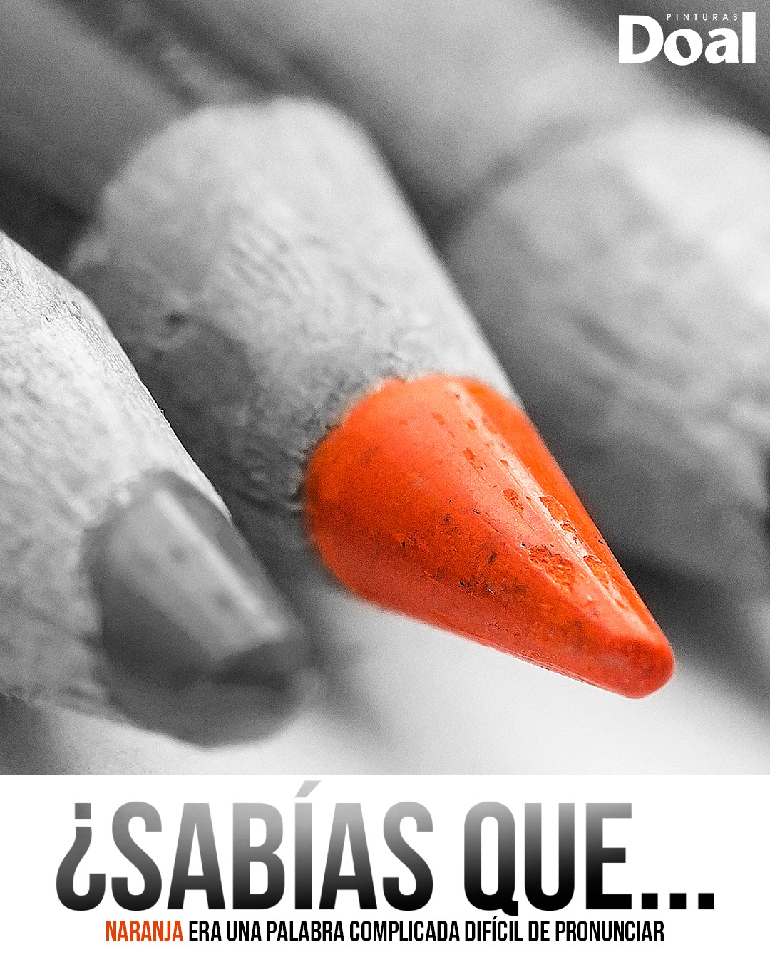Pinturas Doal - #SabíasQue el color naranja no tuvo su... | Facebook