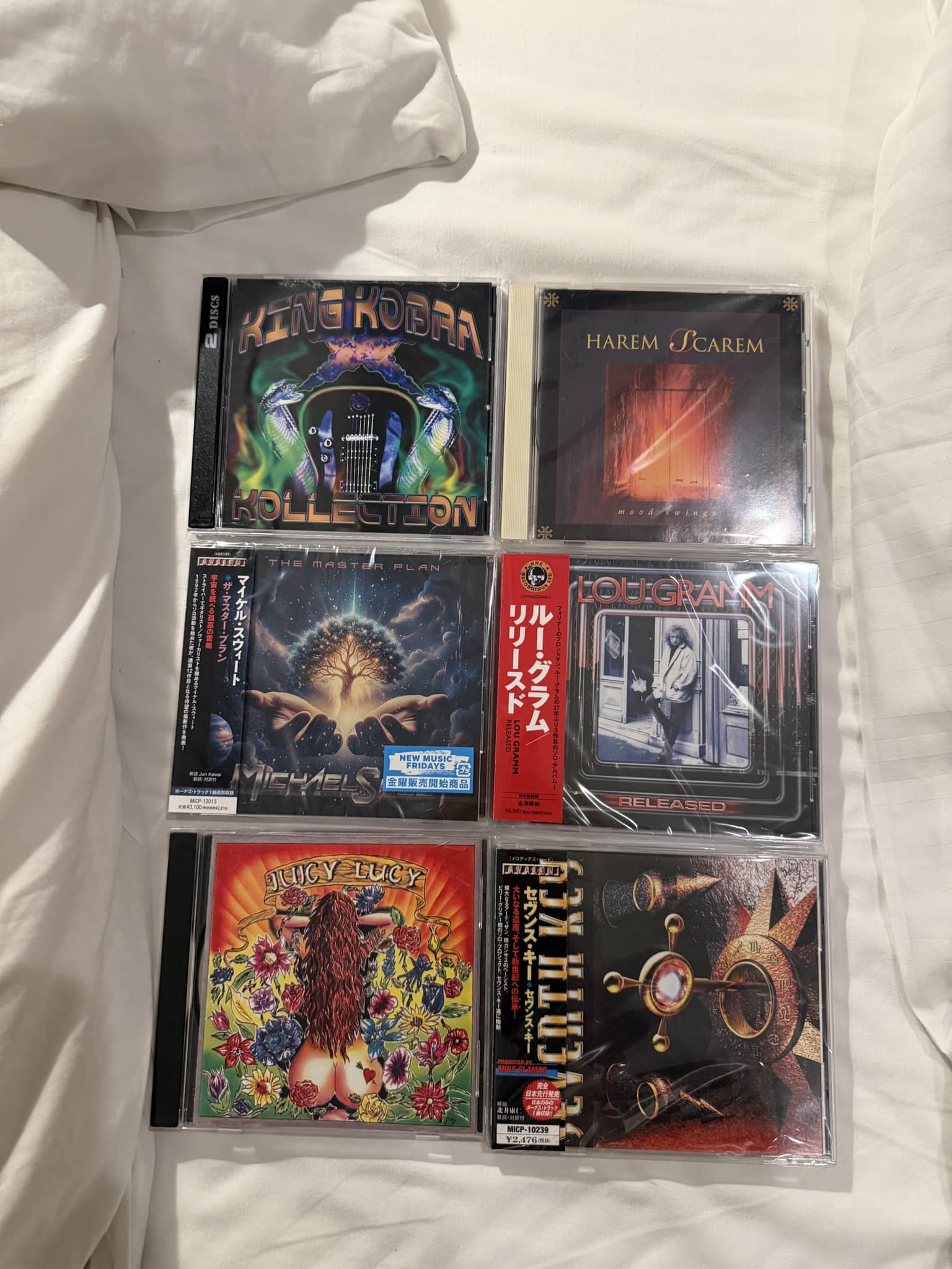 Destrose Chronicles joins my Japanese metal music collection
