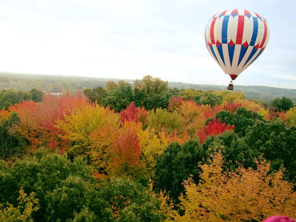 Michigan Balloon | Fenton MI