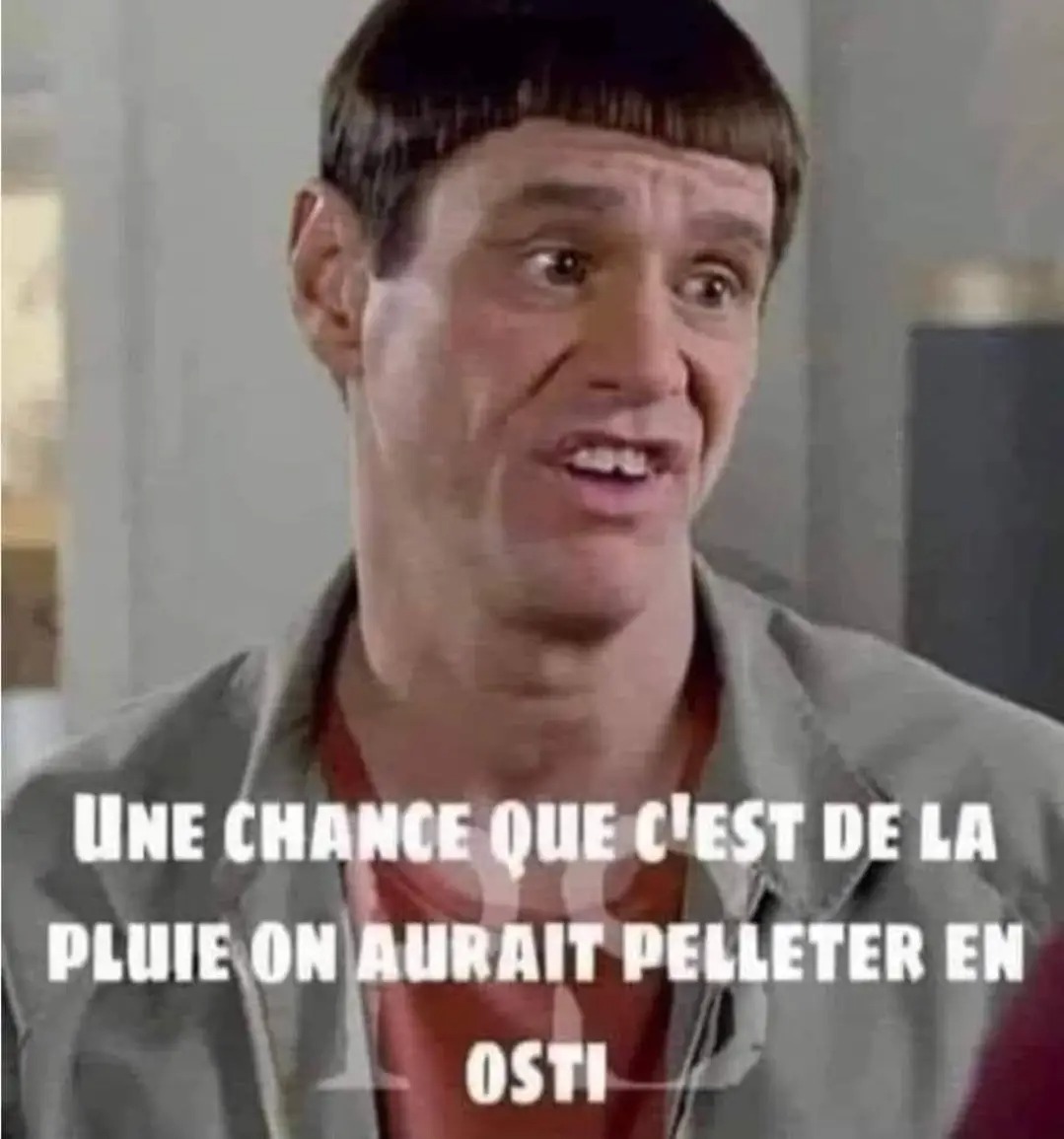 Dan Rouillard