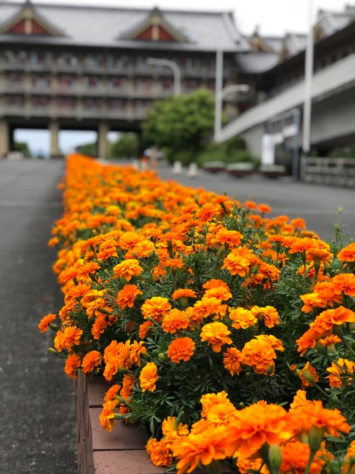 天理教城武分教会 Tenrikyo Joubu Bunkyoukai Startseite Facebook