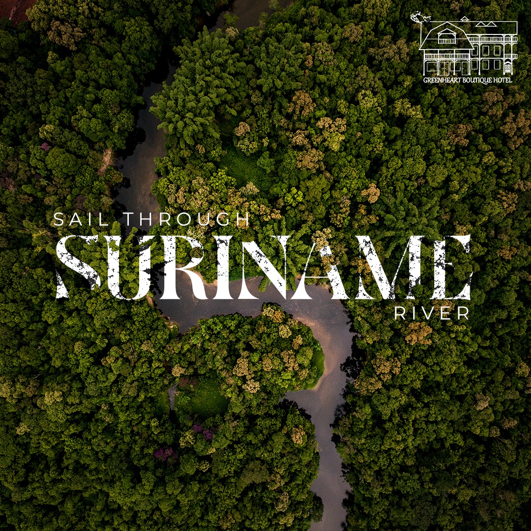 Flora & Fauna Tours Suriname - Doodskop aap | Facebook