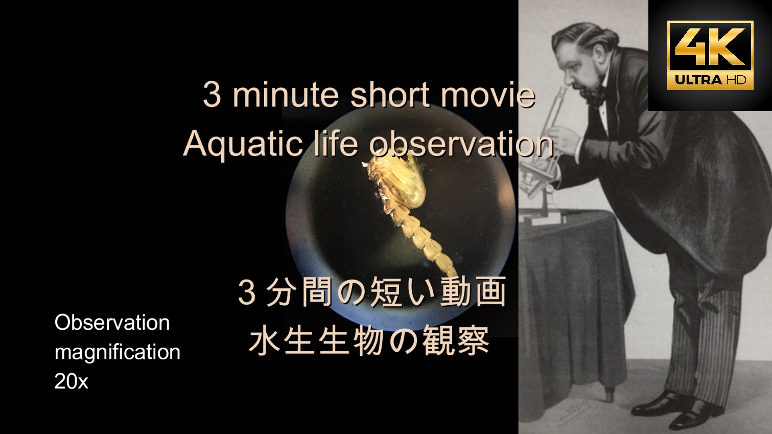 浩 - I have uploaded the microscope video to YouTube as 