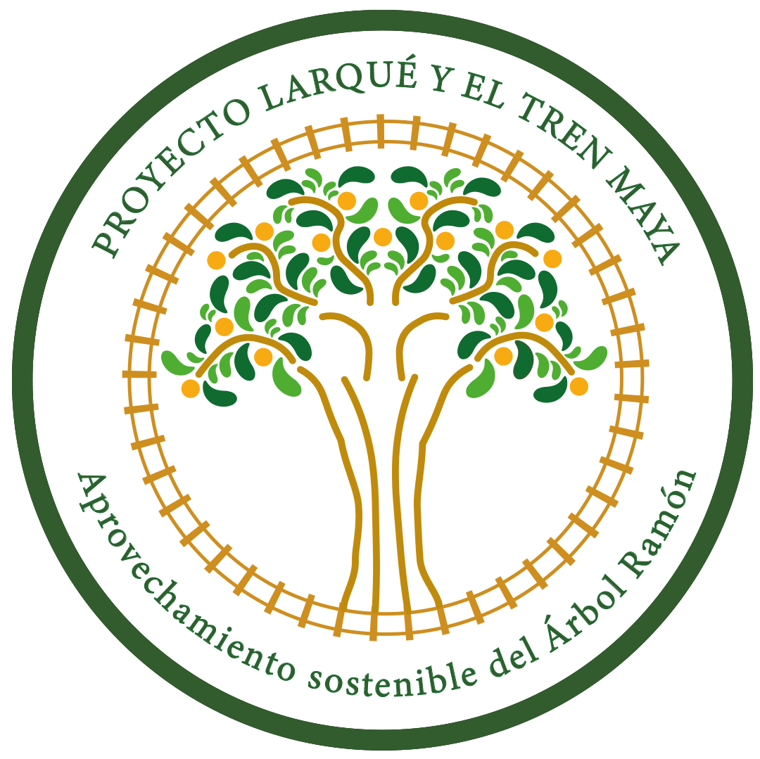 Árbol Ramón - Proyecto Larqué