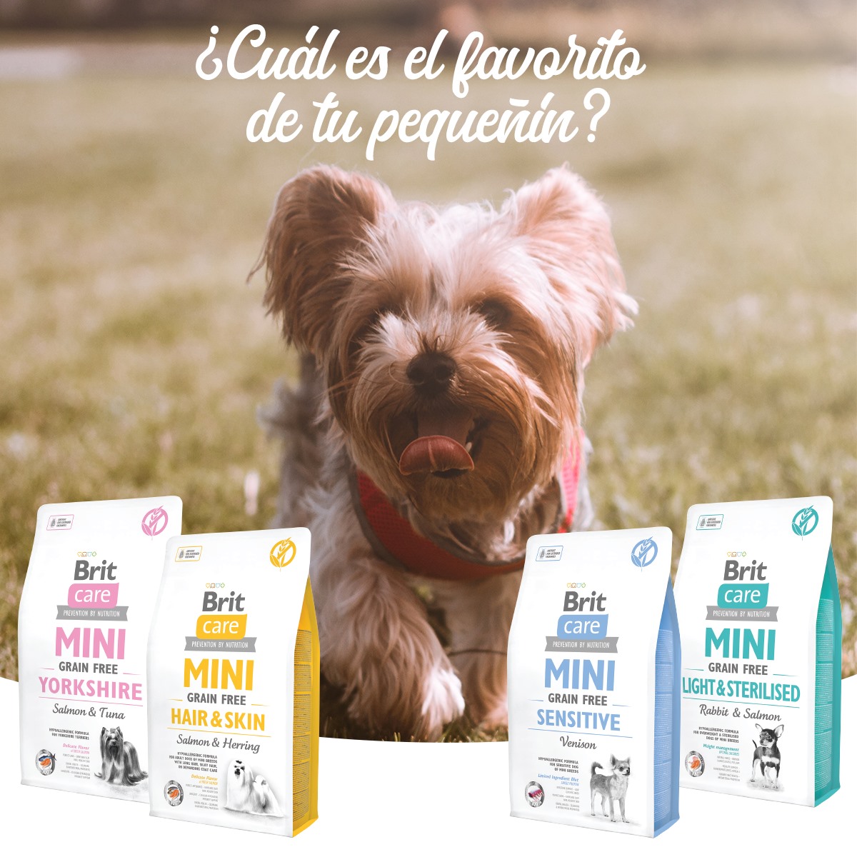 Brit Chile - 🤍 ¡Sabemos que #BritMini es el alimento favorito de ...