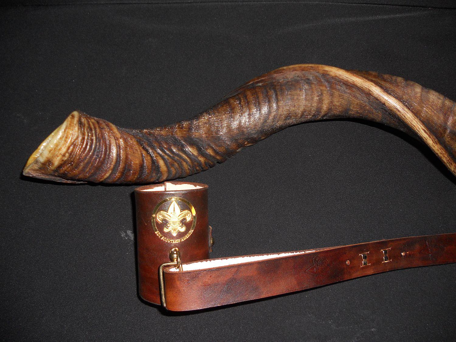 The Scout KUDU HORN