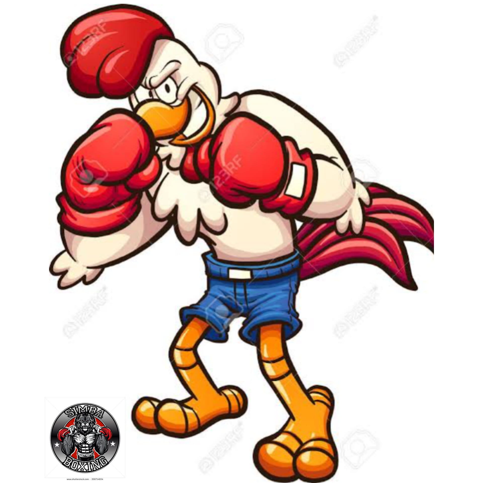 Gym Simba box | Ixtapaluca
