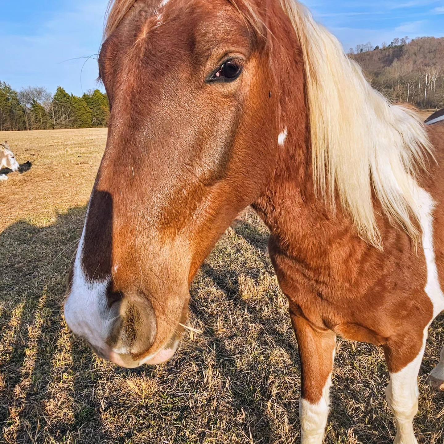 Sunset Ridge Acres | Decatur TN