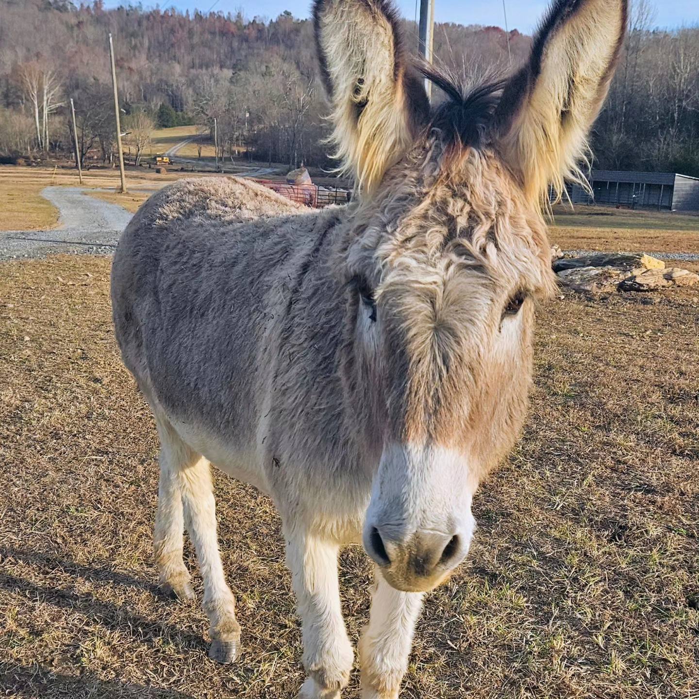 Sunset Ridge Acres | Decatur TN