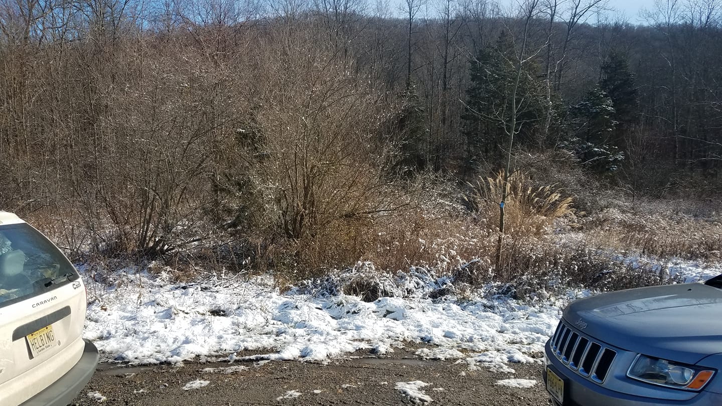 Metrotrails - This will soon be the new state park parking... | Facebook