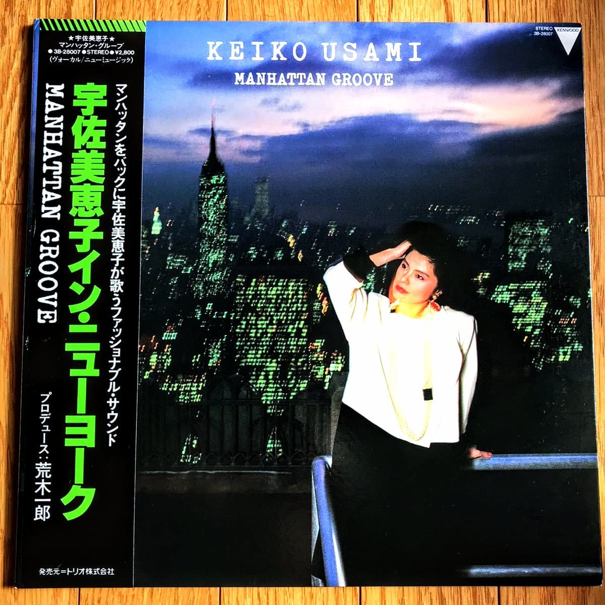Keiko Tohyama's rare album What Can I Do?