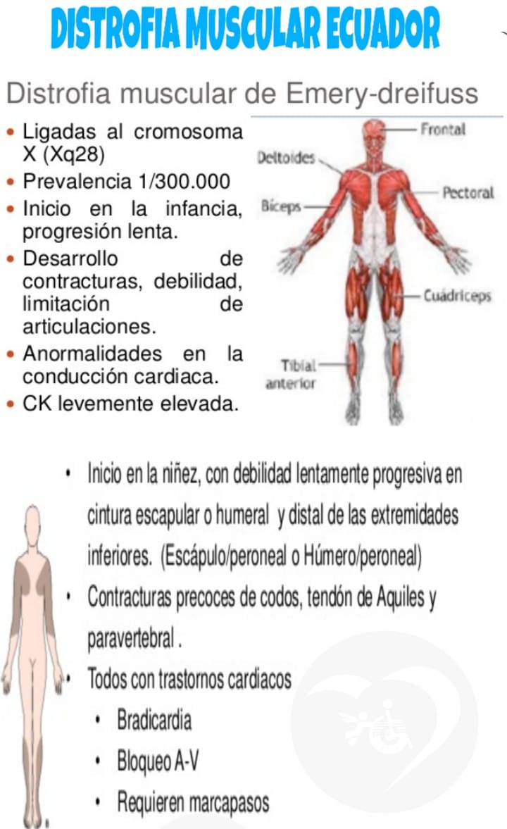 Fedimura Fundación Ecuatoriana Para Distrofia Muscular y Enfermedades ...