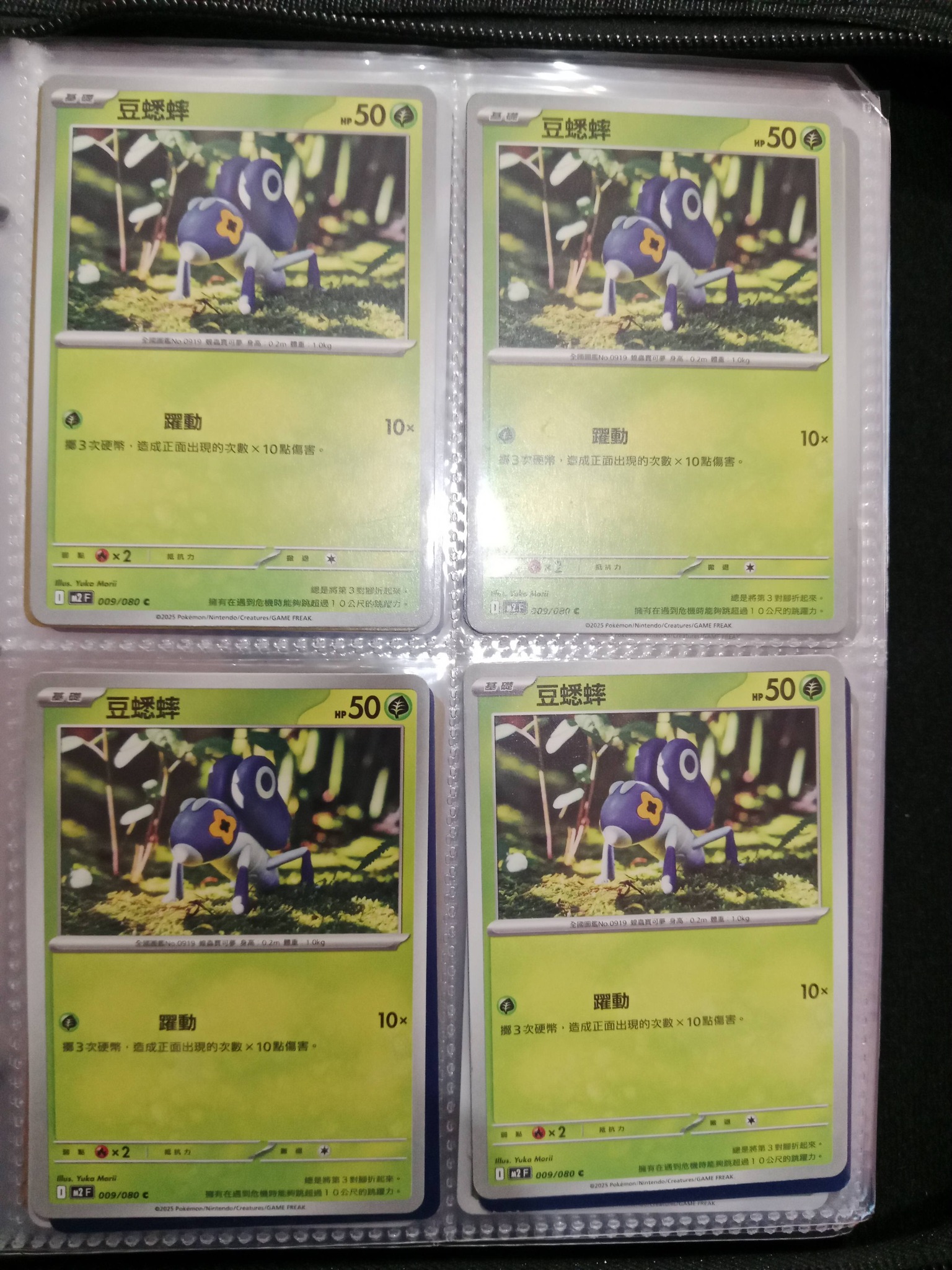 Yuka Morii Pokemon Cards Only