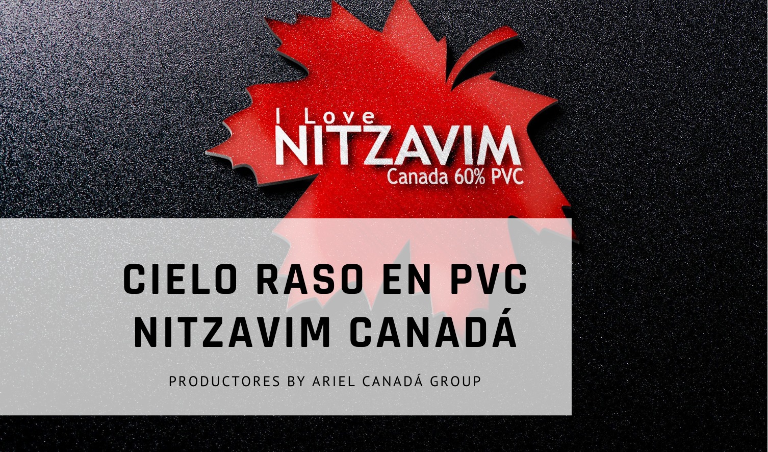 Cielo Raso en PVC Nitzavim Canadá Productores By Ariel Canadá Group ...