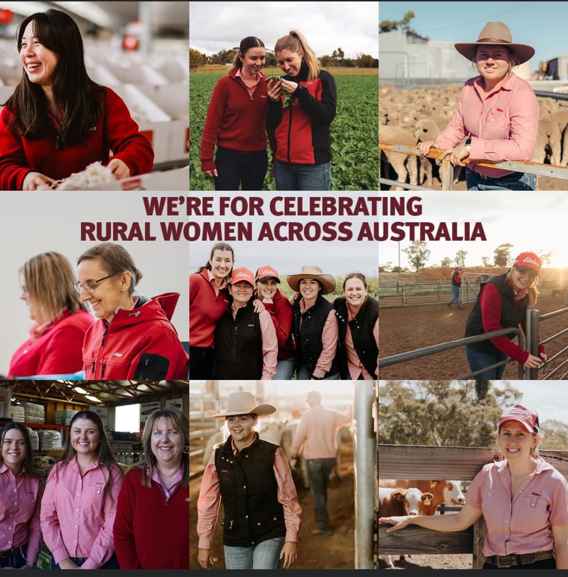 Elders Muchea - Today is International Day of Rural Women,...