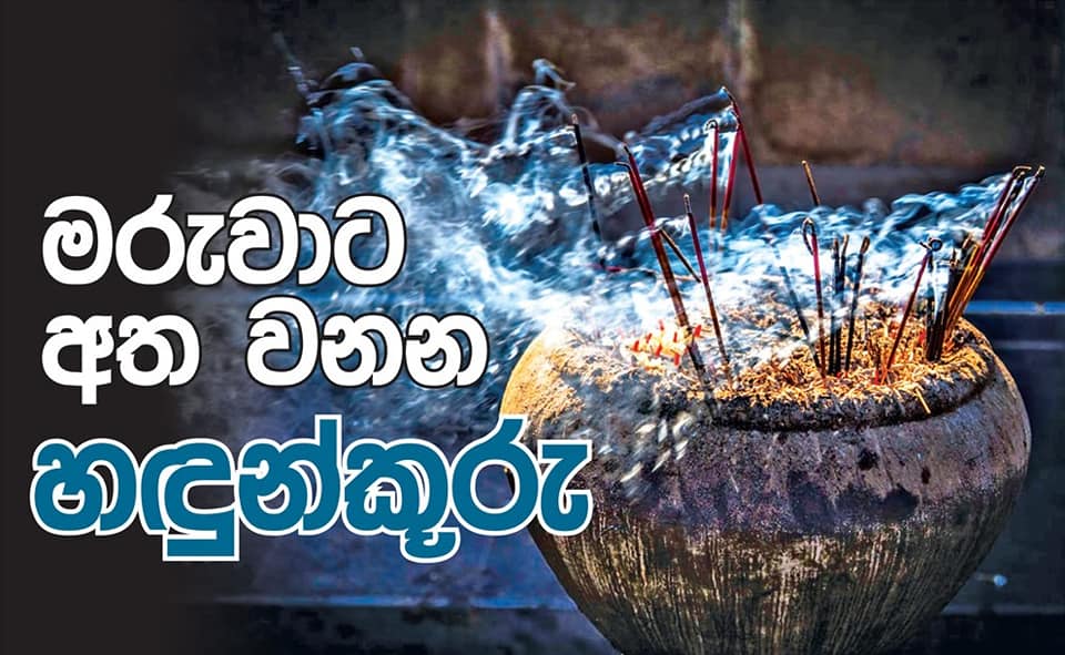 හඳුන්කූරු සහා මදුරු කුරු විකිණීමට ඇත - Lakmatha hadunkuru | Facebook