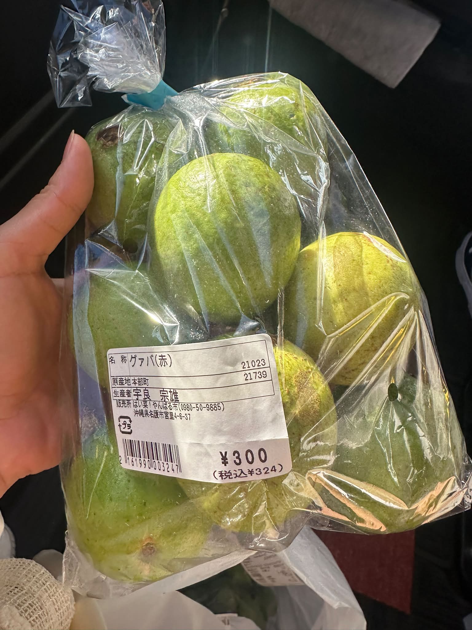 Ổi okinawa 1kg có 300y nhưng không cho mang về đất liền.