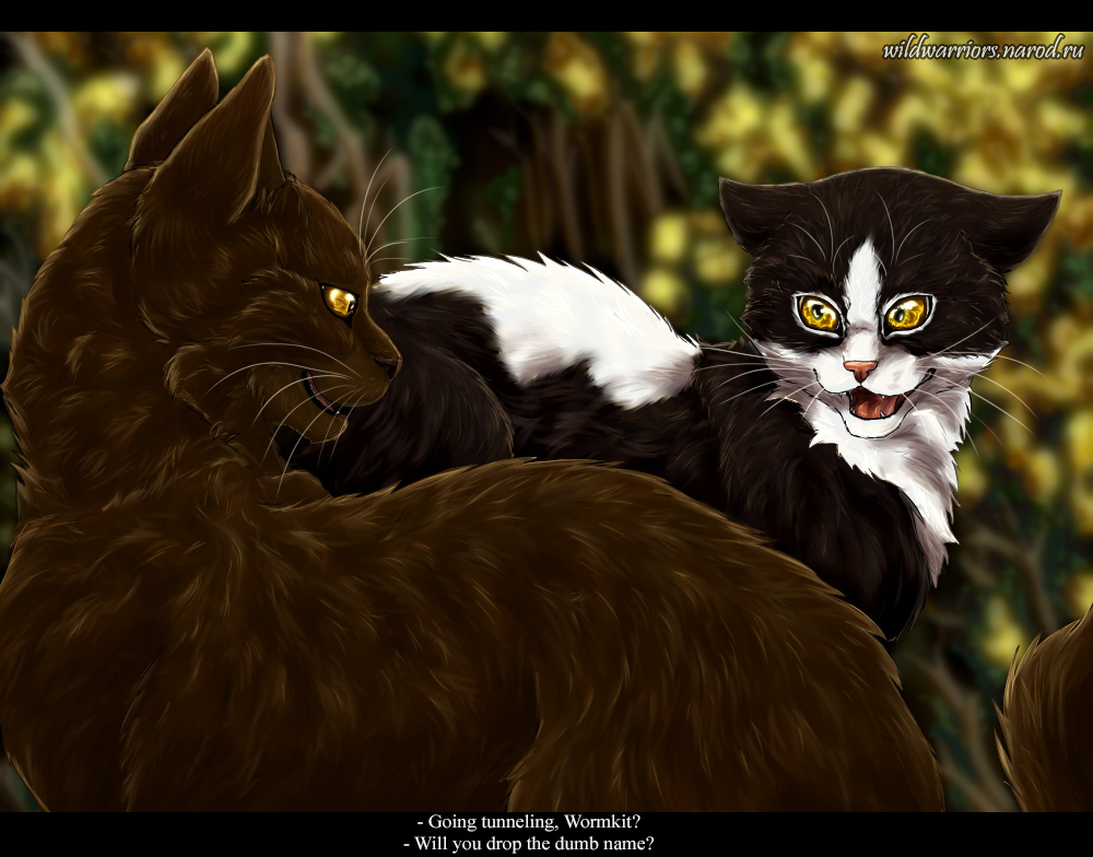 Warrior - Pinestar's Goodbye In this scene I did feel bad for Tigerkit ...