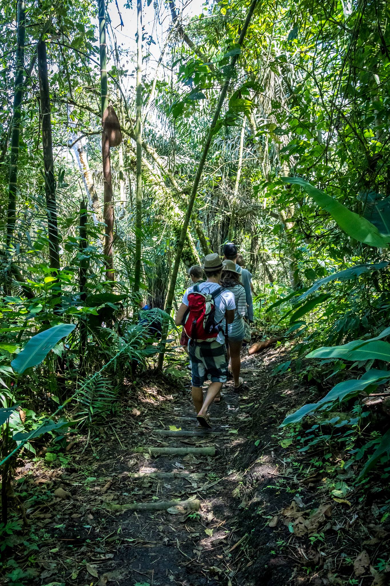 Senderos ecológicos que te... - Pacoche Lodge & Reserve | Facebook