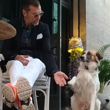Consigliere XV Max Petrassi on Reels