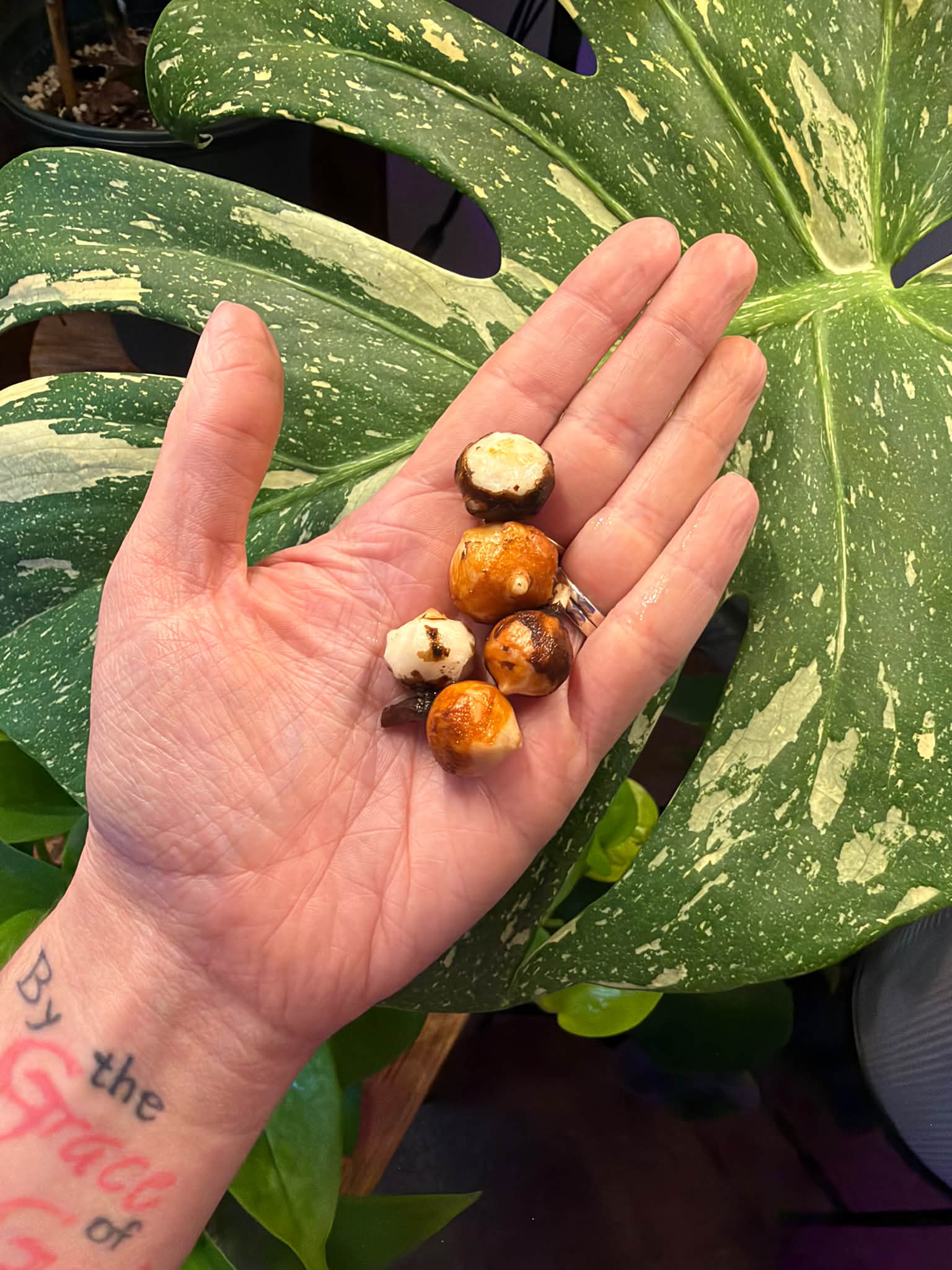 Hi all! I just wanted to introduce myself and share a photo I took