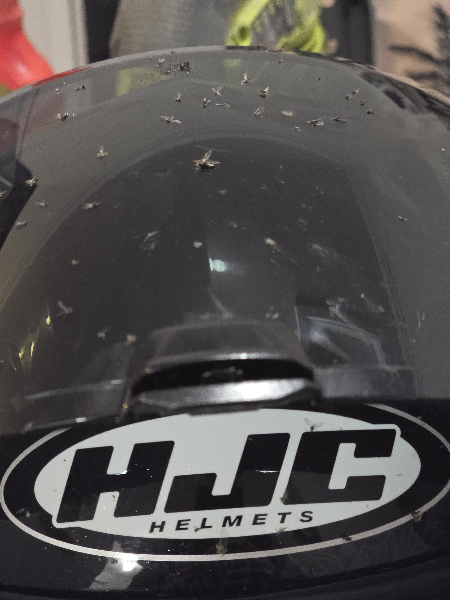 bug splatter motorcycle helmet 2 SRS Glitch Black/White  ONEAL USA The Icon Airflite Bugoid Blitz Motorcycle Helmet Respect for riding with bugs
