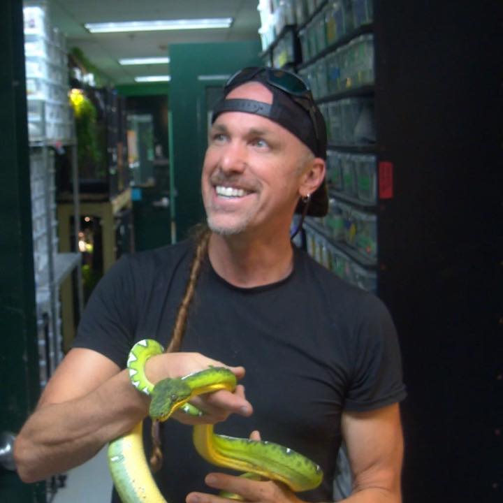Black and Lovely! Golden Child Motley Reticulated Python! | Kevin McCurley