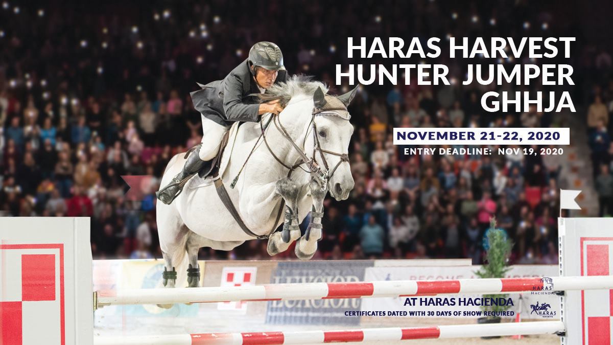 Haras Harvest Hunter Jumper GHHJA
